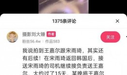 刘大锤爆料真假视频,真假视频揭秘，真相究竟如何？