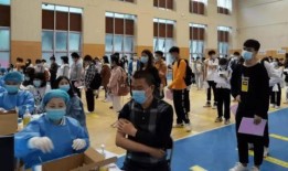 执行官后续爆料了吗最新消息,后续进展全解析